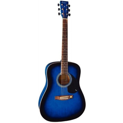 Акустична гітара Tenson D-10 BLBst F501315 Зображення