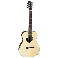 Электроакустическая гитара VGS R-50 CE Rose (VG501350) Изображение