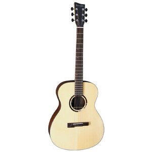 Электроакустическая гитара VGS R-50 CE Rose (VG501350) Изображение