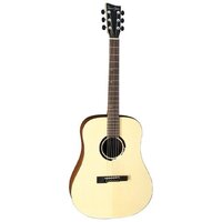 Акустическая гитара VGS BR-10 Belle Rose Изображение