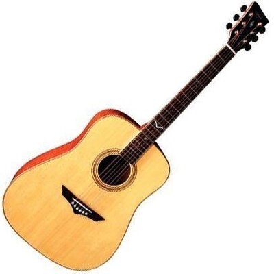 Акустична гітара VGS V-10 Mistral series NT Зображення