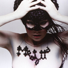 Вінілова платівка Bjork - Medulla [2LP] Зображення