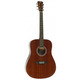 Гітара акустична Virginia V-D30 Зображення