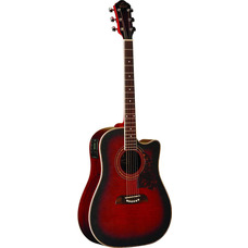 Електроакустична гітара Washburn OG2CEFBC Зображення