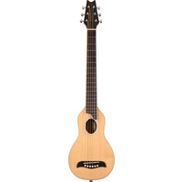 Акустическая гитара Washburn RO10SK Изображение