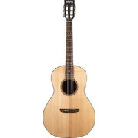 Акустична гітара Washburn WP33SRS Зображення