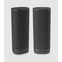 Тыловые колонки Harman/Kardon Citation Surround Изображение