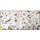 Вінілова платівка Led Zeppelin – Led Zeppelin III (Vinyl) Зображення