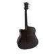 Акустическая гитара Toneberg TQ-AC-FGS-BK Изображение