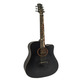 Акустическая гитара Toneberg TMLT-BK Изображение