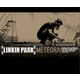 Виниловая пластинка Linkin Park – Meteora (LP, Album, Limited Edition, Reissue, Gold & Red Splatter Vinyl) Изображение