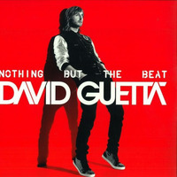 Виниловая пластинка  David Guetta – Nothing But The Beat (Vinyl, 2xLP, Album) Изображение