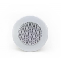 Стельовий динамік SKY SOUND TS-1010TW Зображення