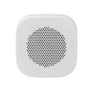 Настенная колонка SKY SOUND NS-7TW Изображение