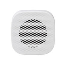 Настенная колонка SKY SOUND NS-7TW Изображение