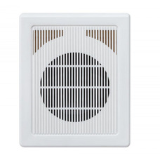 Настінна акустика SKY SOUND NS-10TW Зображення