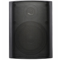 Настенная акустика SKY SOUND NS-40B/TB Изображение