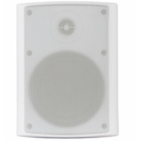 Настенная акустика SKY SOUND NS-40W/TW Изображение