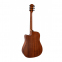 Акустическая гитара Alfabeto SPRUCE WS41 (Satin) + чехол 7