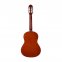 Классическая гитара Gewa 3/4 Cataluna Basic Plus NT PS510340742 3