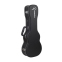 Кейс для укулеле Carpathian Concert Ukulele Case 24 0