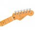 Электрогитара FENDER AMERICAN PRO II STRATOCASTER MN ROASTED PINE  4