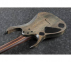 Електрогітара IBANEZ RGD71ALPA CKF1 3