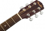 Гітарний набір Fender FA-115 Dreadnaught Pack Natural Wn V2 8