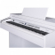 Цифровое пианино Orla CDP101 DLS (White) 1