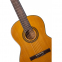 Классическая гитара Alfabeto SAPELE CS39G + чехол 7