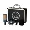Мікрофон AKG C214  3