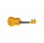 Укулеле Stagg US-LEMON 0