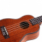 Електроакустичне укулеле Alfabeto MAHOGANY USM21EQ 1