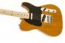 Электрогитара SQUIER by FENDER AFFINITY TELE BUTTERSCOTCH BLONDE 0
