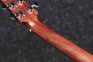 Гитара электроакустическая IBANEZ AAD300CE LGS  7