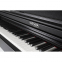 Цифровое пианино GEWA UP-360G Black 0