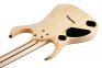 Электрогитара IBANEZ RGDR4427FX NTF  6