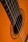 Классическая гитара Washburn C5 0