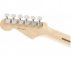 Електрогітара FENDER AMERICAN PROFESSIONAL LIMITED EDITION STRATOCASTER MN AGN  5