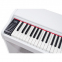 Цифрове піаніно Alfabeto Animato Assai (White) 3