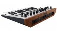 Синтезатор Korg Monologue-SV  0