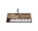 Синтезатор Korg MicroKorg GoldTop 0