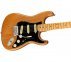 Электрогитара FENDER AMERICAN PRO II STRATOCASTER MN ROASTED PINE  2