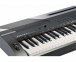 Цифровое пианино Kurzweil KA-90 6