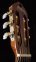 Классическая гитара Washburn C5 1