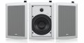 Гучномовець Tannoy iW6 DS 2