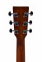 Акустична гітара Ditson D-10 1