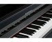 Цифровое пианино Kurzweil CUP1 BP 7