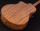 Електроакустична гітара Washburn VITE S9V 1