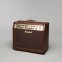 Комбоусилитель Marshall AS100D-E 3